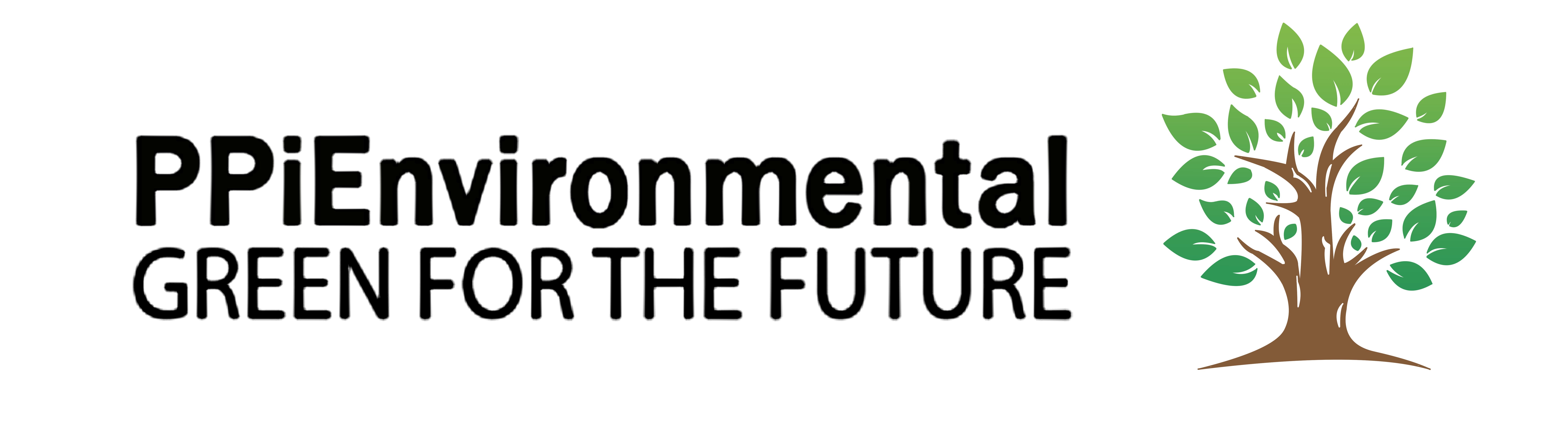 PPI Logo